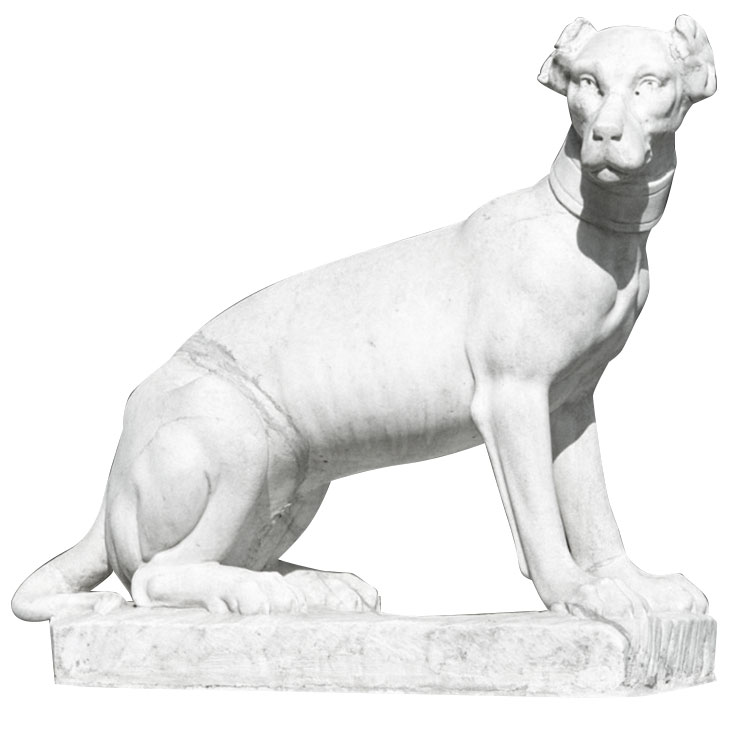 Marmuro gyvūnų statulos šuo